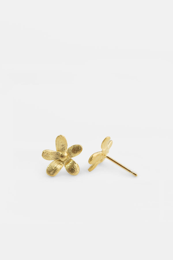 Jasmine medium earrings