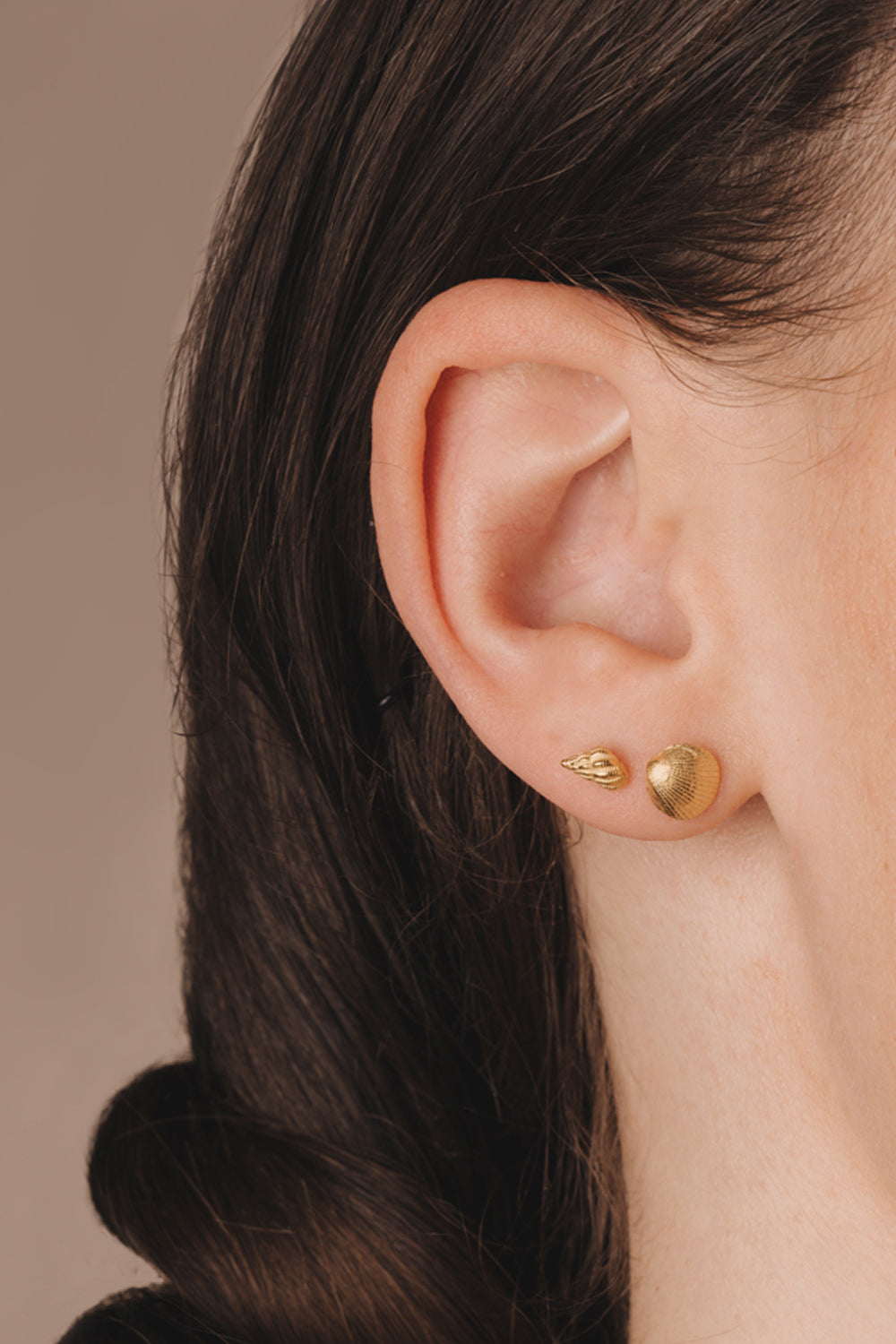 Conch shell earrings