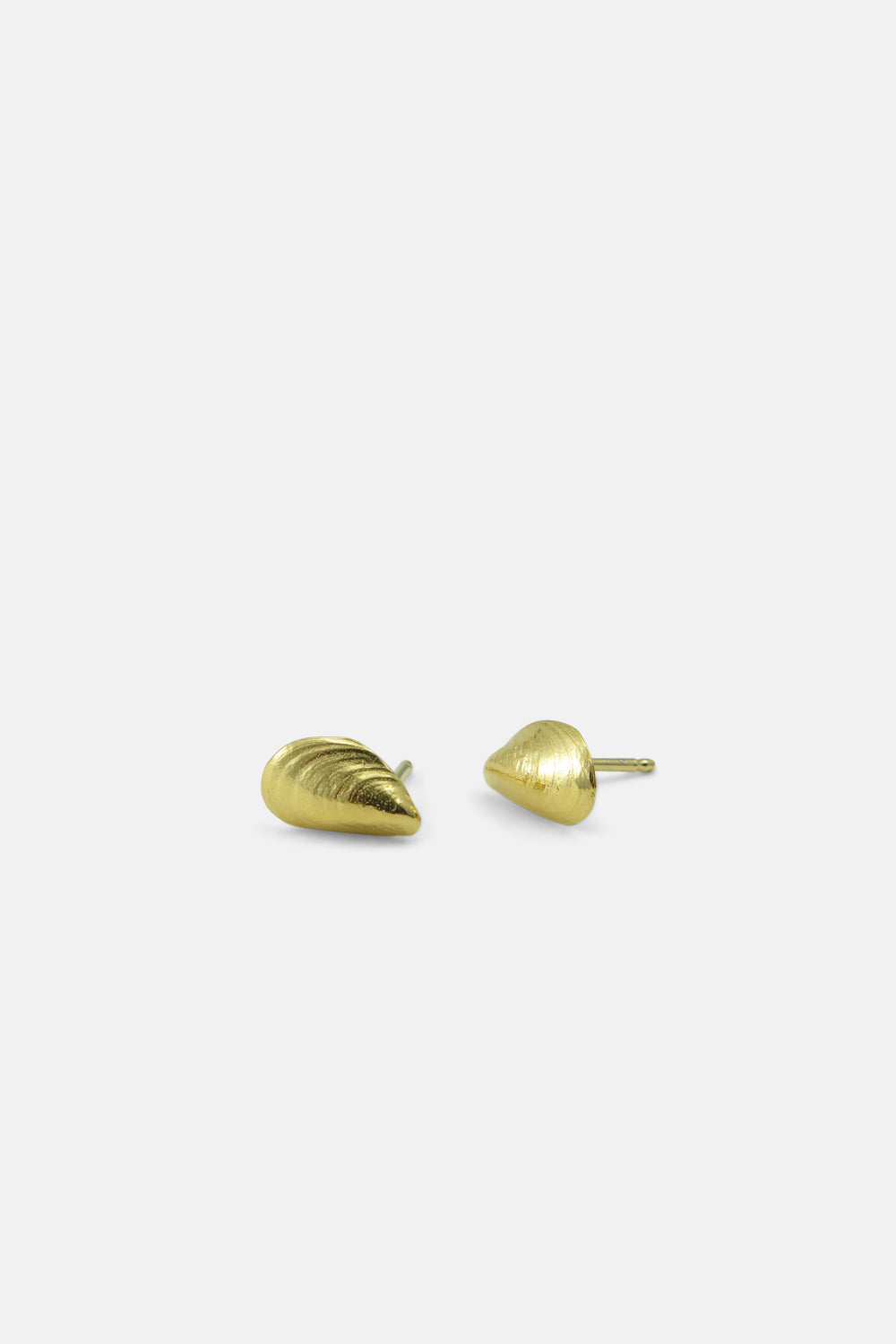 Mussel earrings