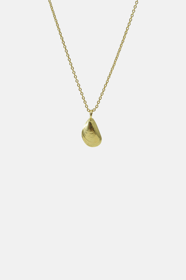 Kleine mossel