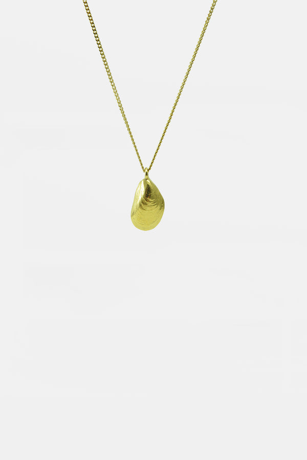 Mossel gesloten met ketting